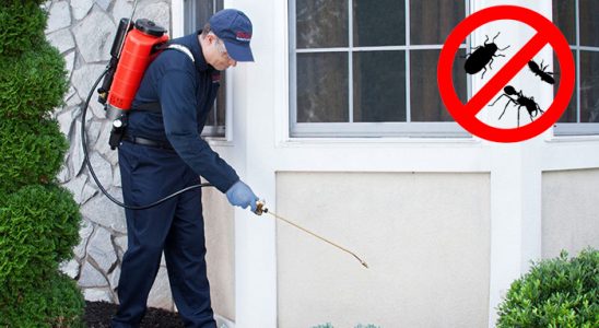 Birecik Kene İlaçlama böcek ilaçlama ve haşere kontrolü — ilaclama-tr.com